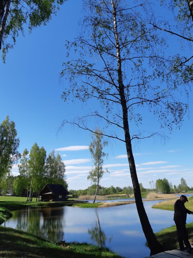 Sodyba Vieversyne Duokiskis Esterno foto