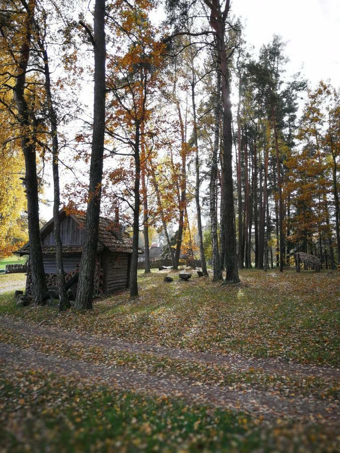 Sodyba Vieversyne Duokiskis Esterno foto