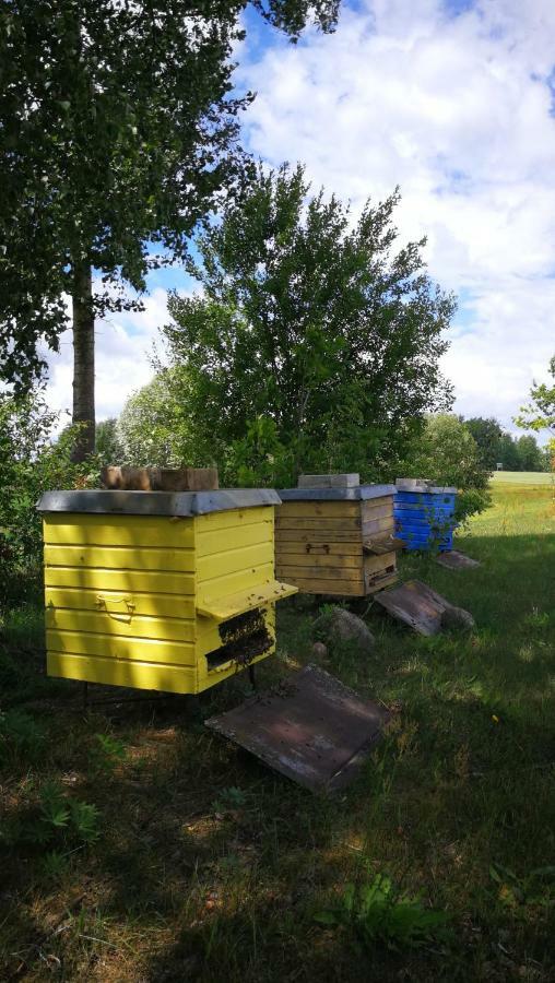 Sodyba Vieversyne Duokiskis Esterno foto