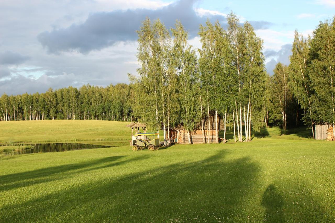 Sodyba Vieversyne Duokiskis Esterno foto